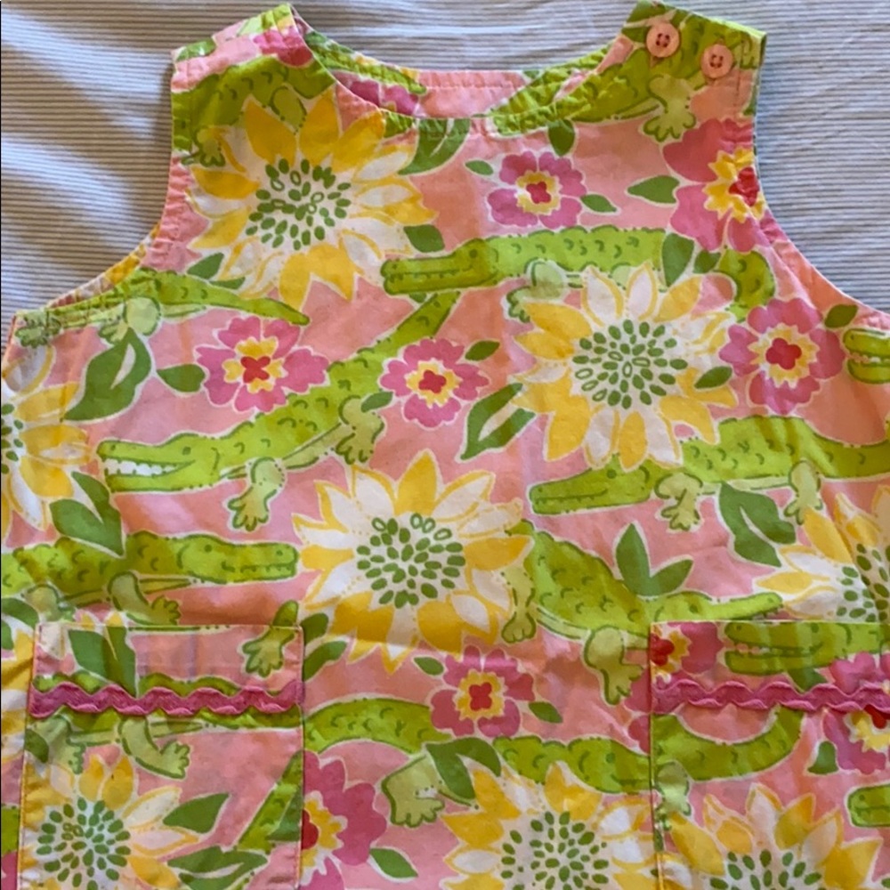 Lilly shift dress like new, non smoking home.